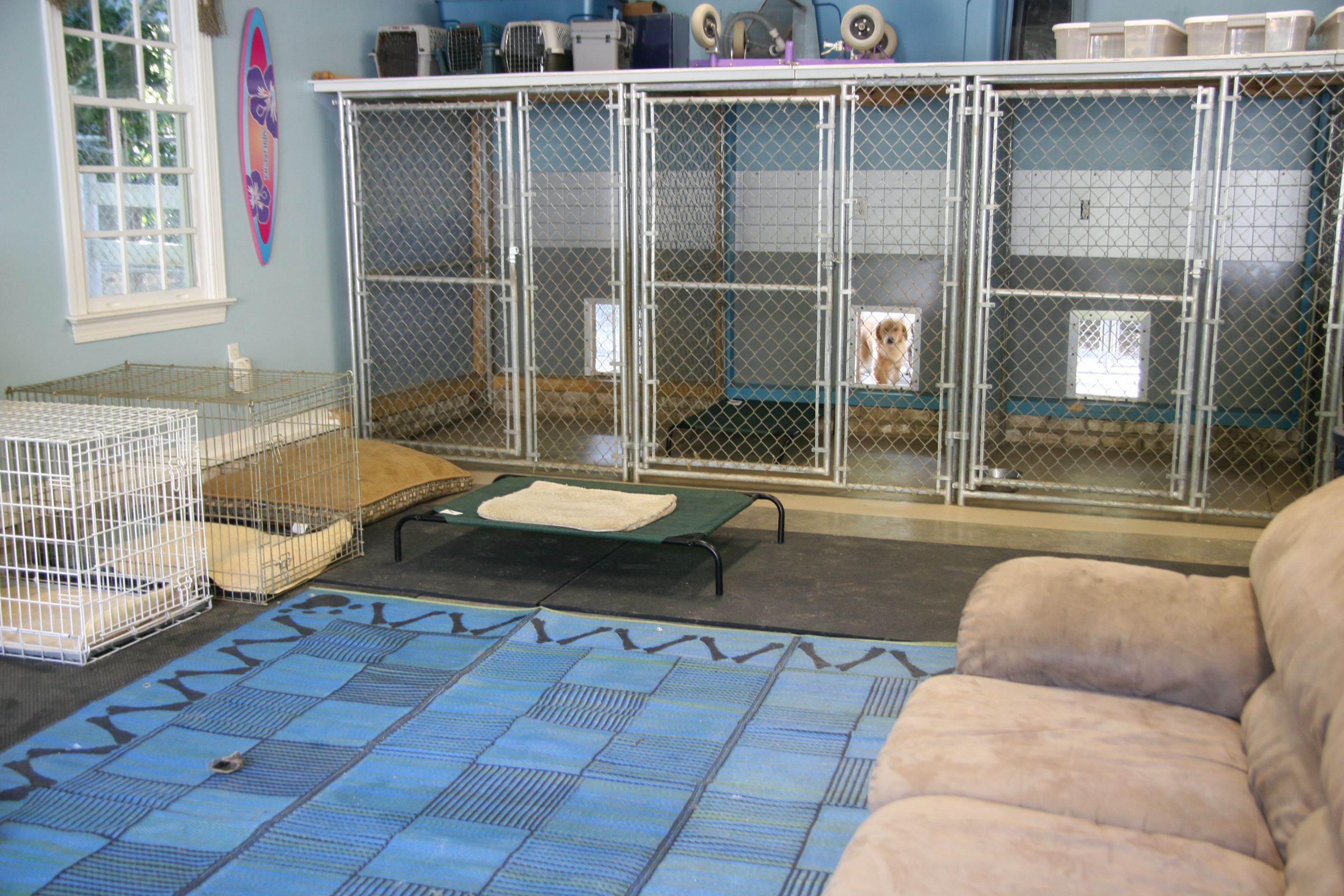 Pawsitively Paradise Kennels